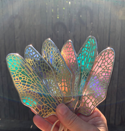 Dragonfly Hindwing • Iridescent Etched Clear