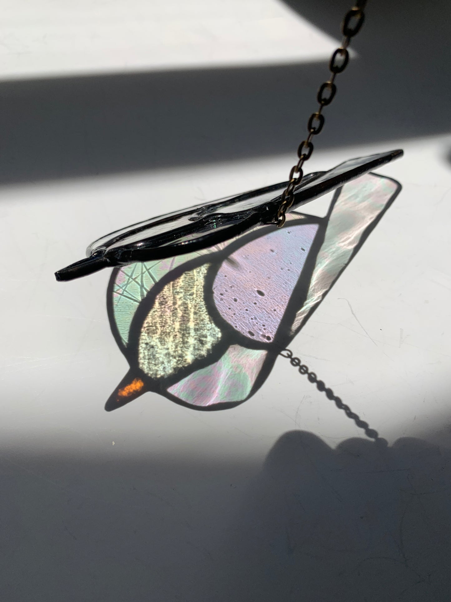 Colorful Bird Friend • Iridescent Clear