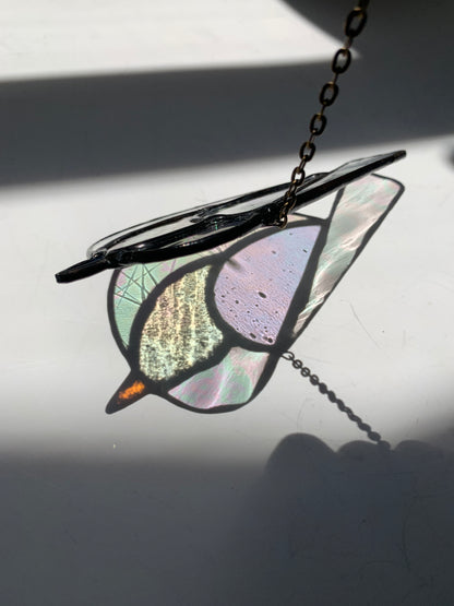 Colorful Bird Friend • Iridescent Clear