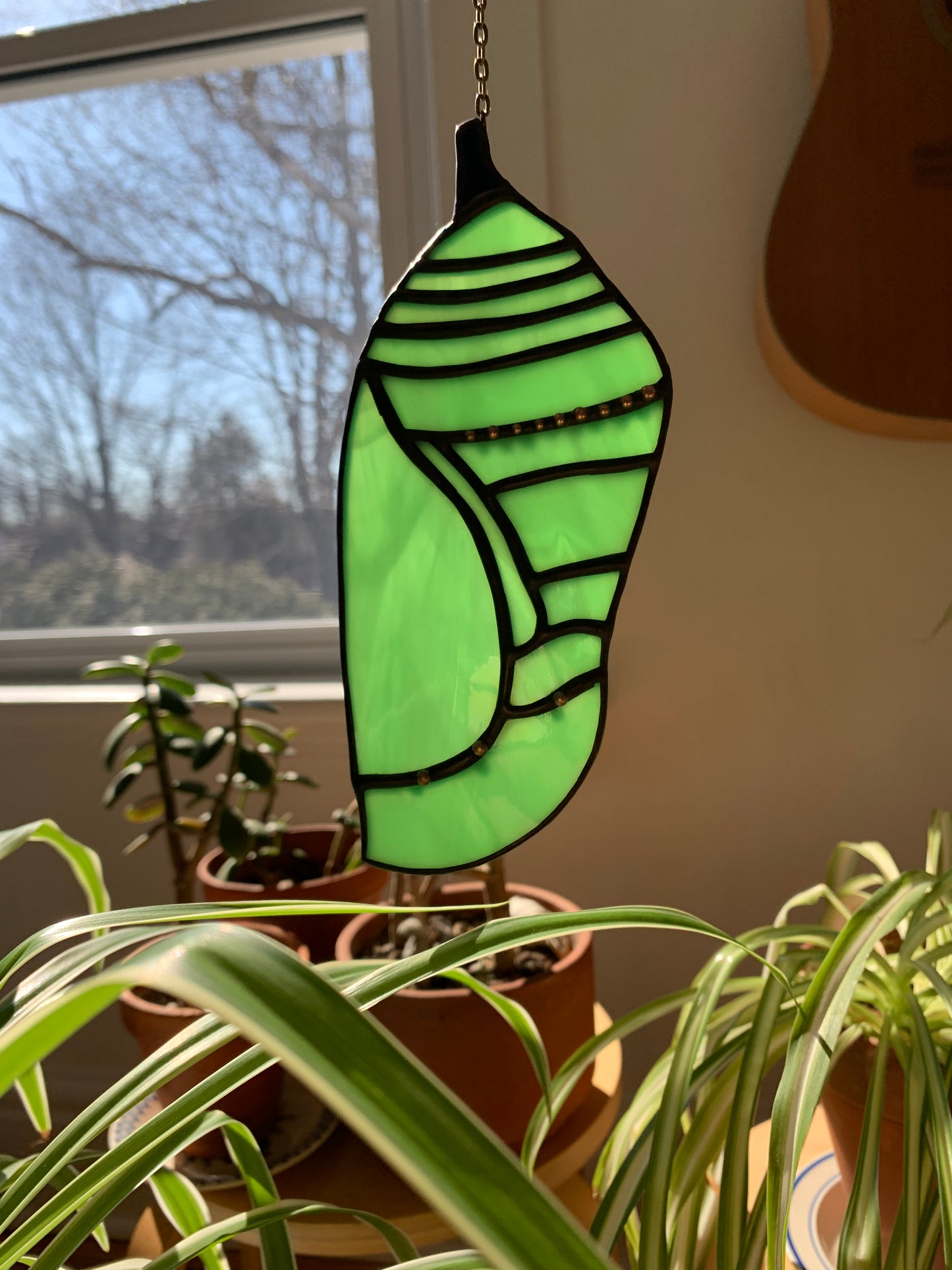 Monarch Chrysalis