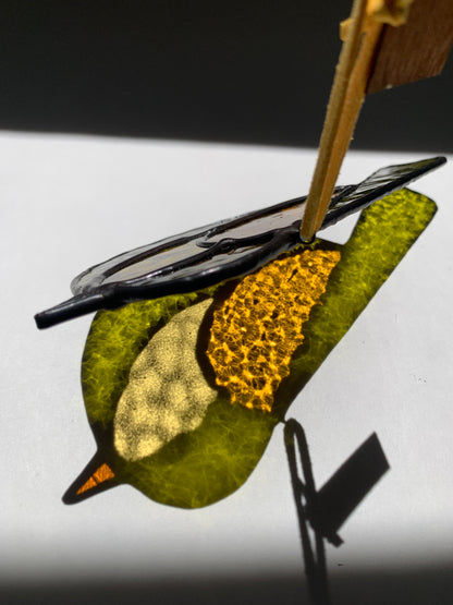 Colorful Bird Friend XXIII