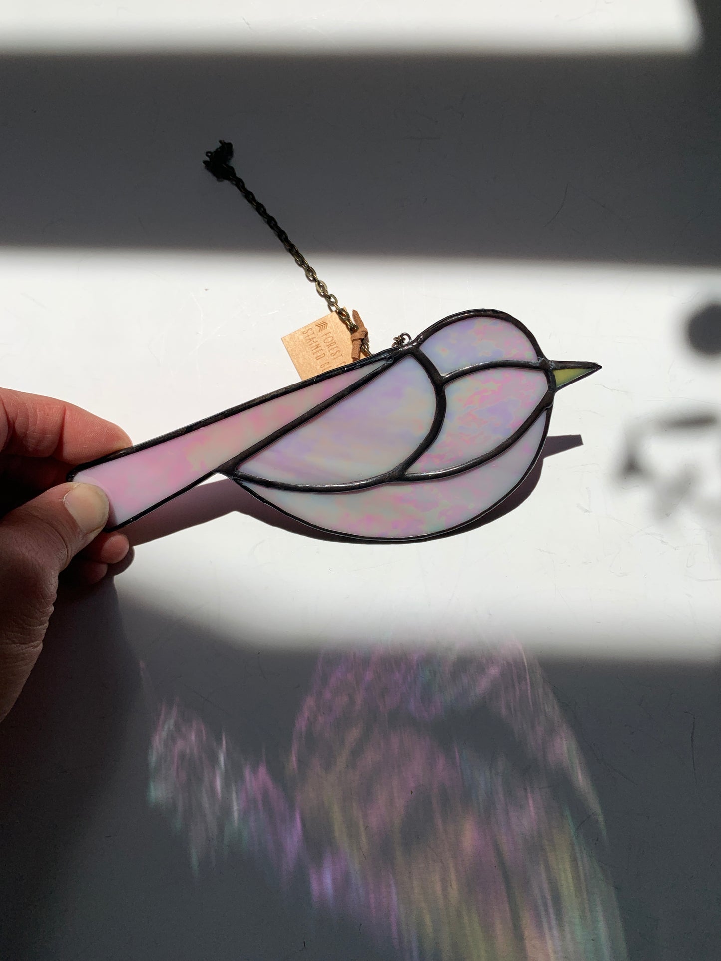 Colorful Bird Friend • Iridescent Pink