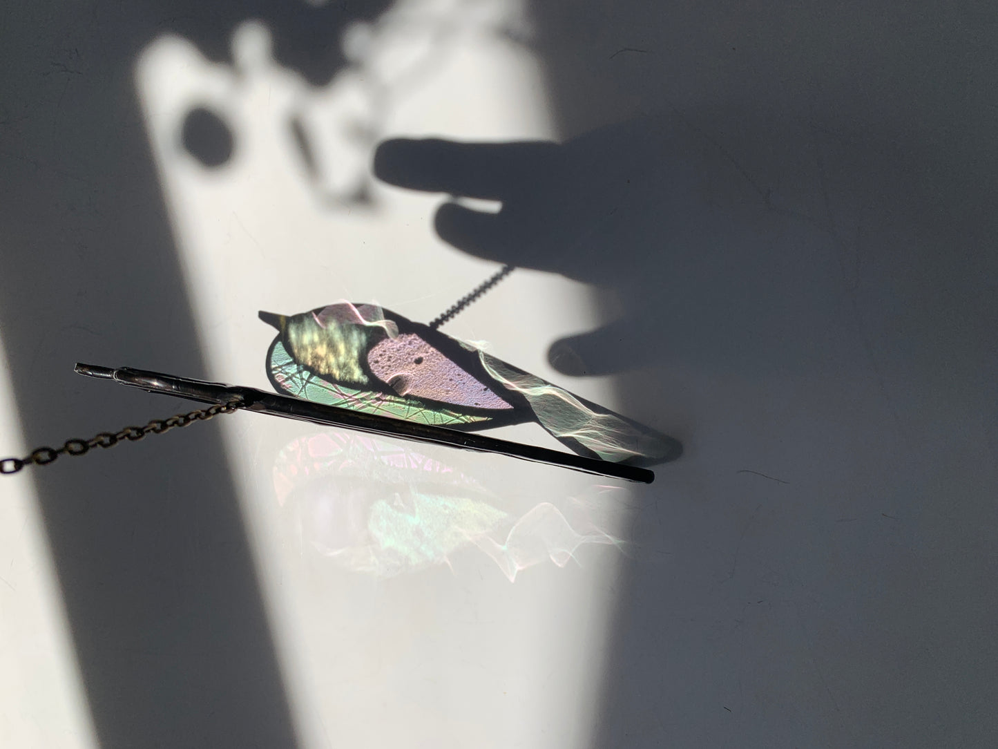 Colorful Bird Friend • Iridescent Clear