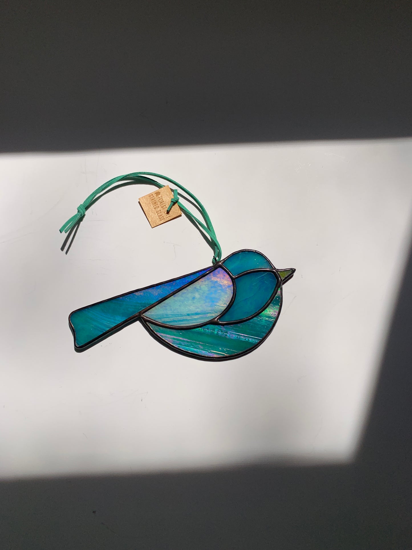 Colorful Bird Friend • Iridescent Blues
