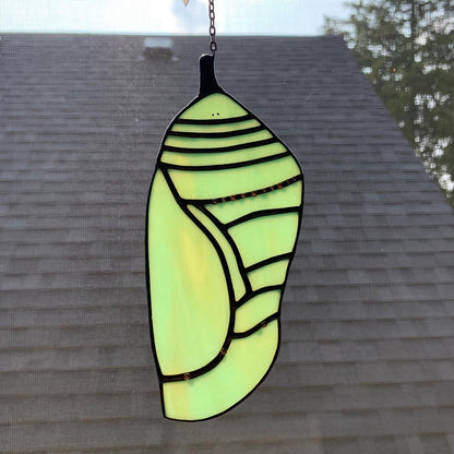 Monarch Chrysalis