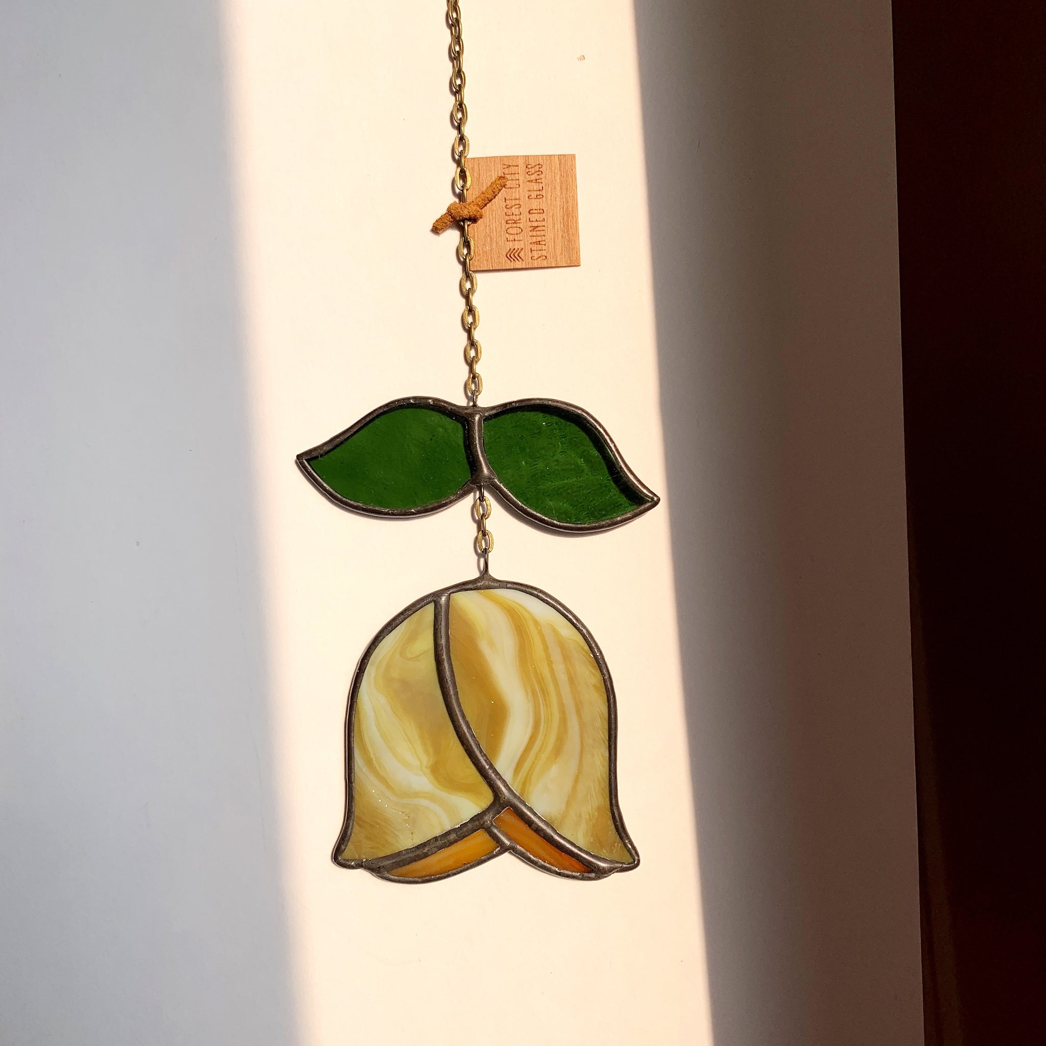 Flash Sale - Tulip