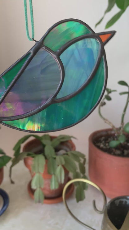 Colorful Bird Friend XX • Iridescent