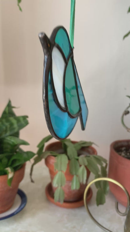 Colorful Bird Friend XVIII • Iridescent