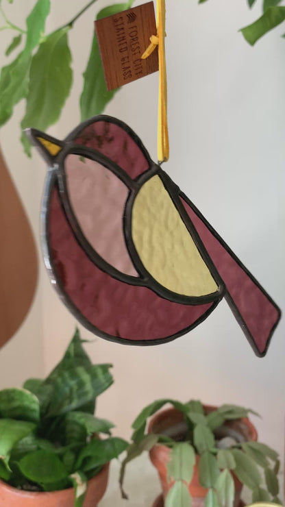 Colorful Bird Friend VII