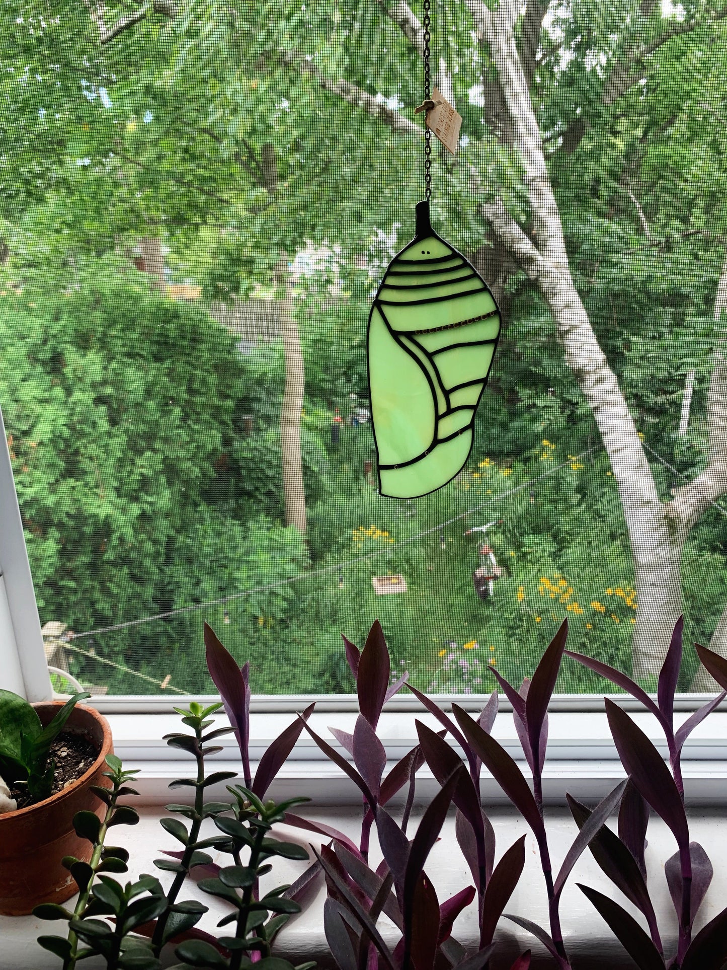 MADE TO ORDER • Monarch Chrysalis